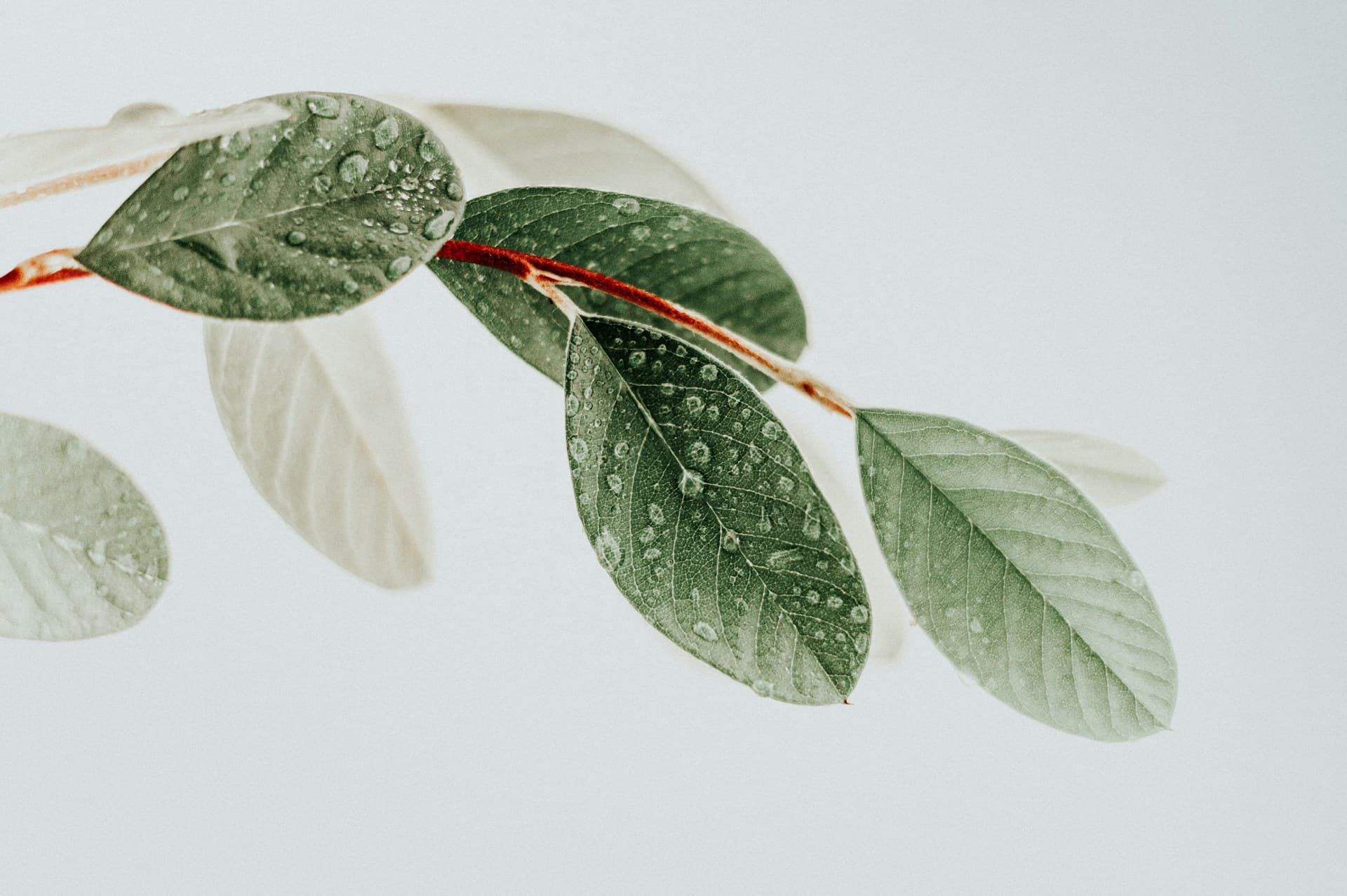 Data Quality & Outliers: Complete Guide to Measurement Error, Missing Data & Detection Methods