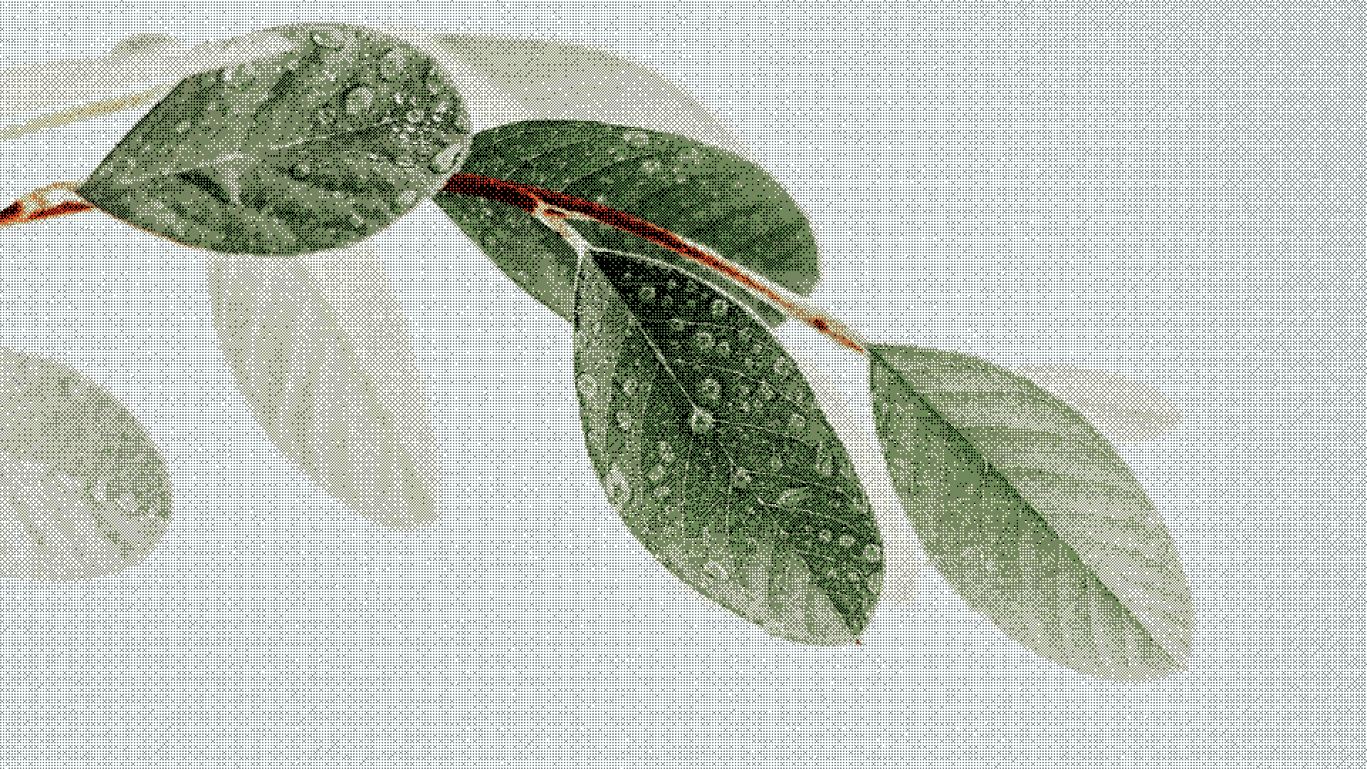 Data Quality & Outliers: Complete Guide to Measurement Error, Missing Data & Detection Methods