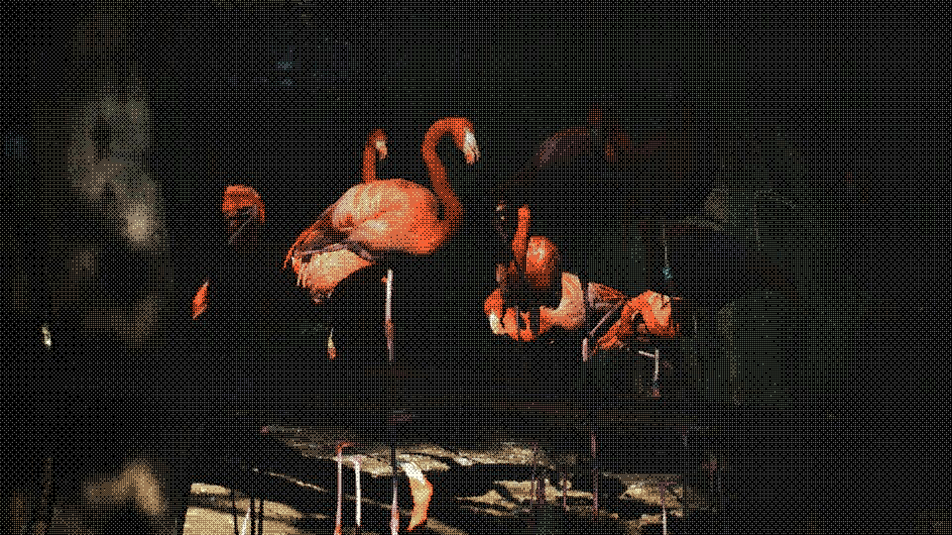 Inverse Document Frequency: How Rare Words Reveal Document Meaning