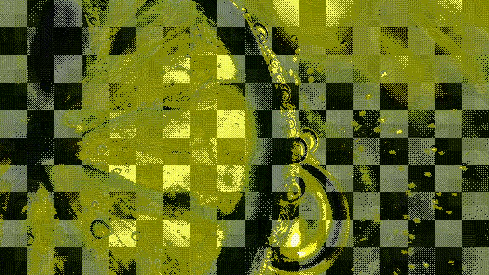 LIME Explainability: Complete Guide to Local Interpretable Model-Agnostic Explanations