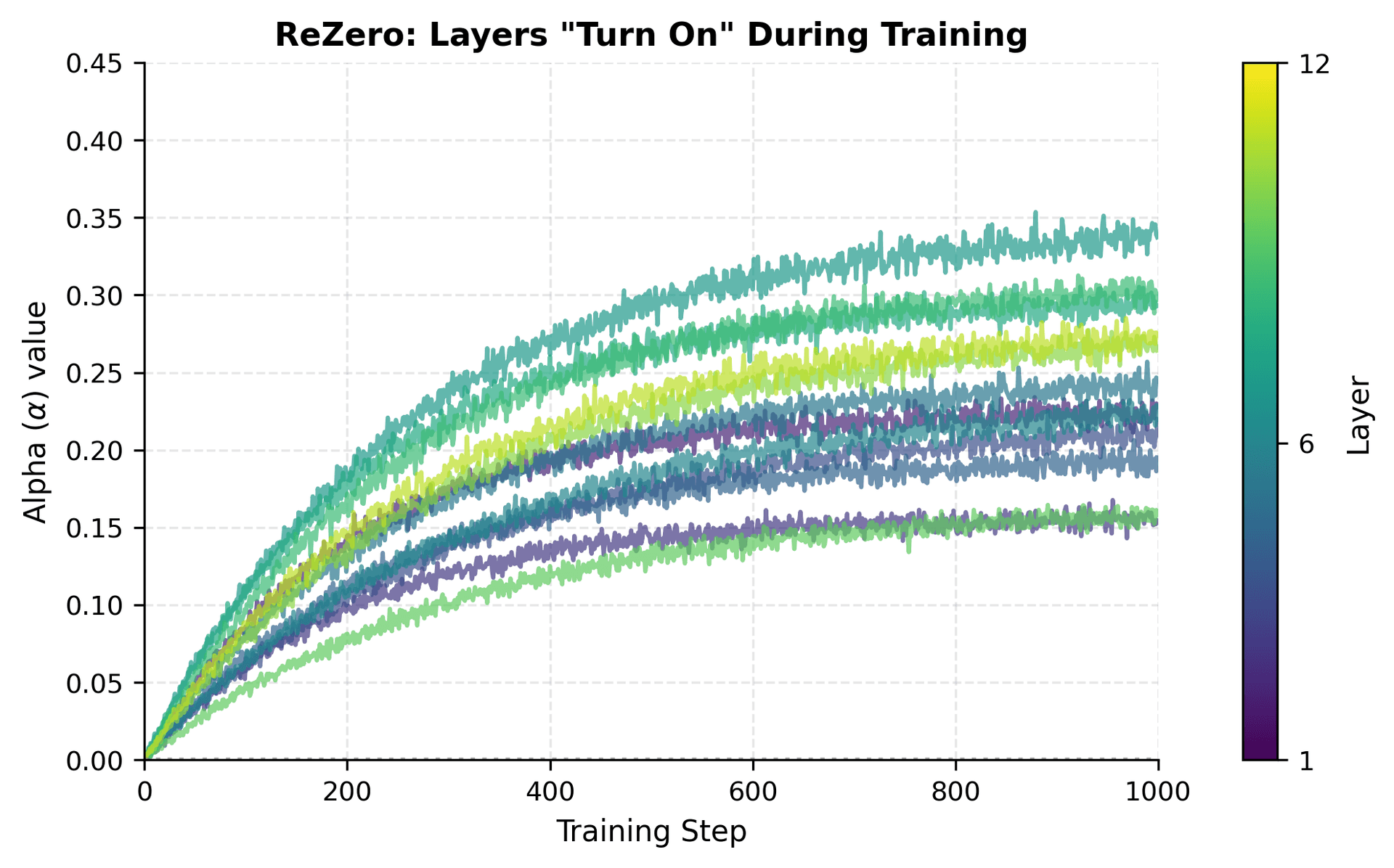 Line plot showing alpha values for 12 layers growing from zero over training steps, with different final values per layer.