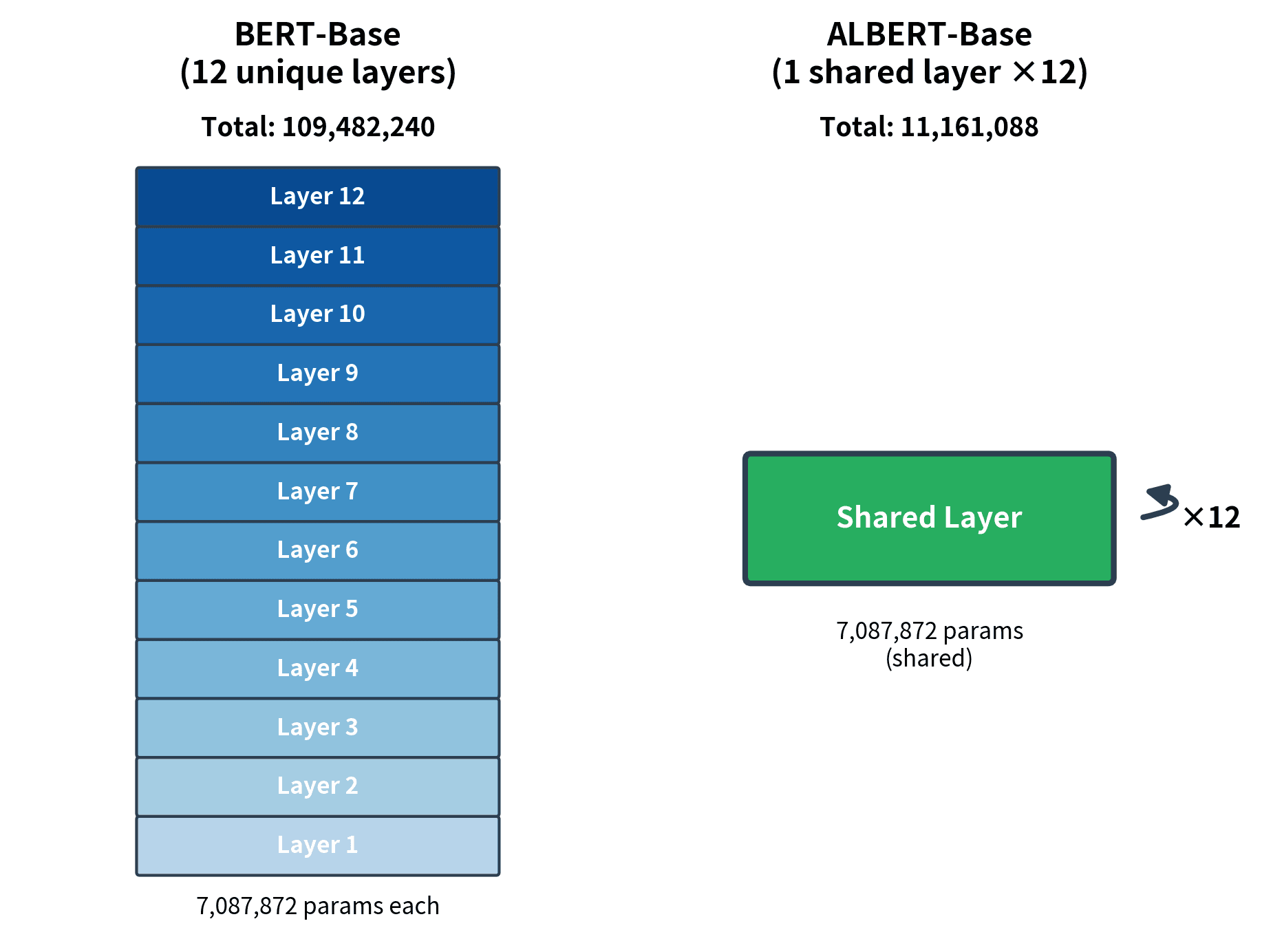 Side-by-side comparison showing BERT with 12 unique layers versus ALBERT with 1 shared layer applied 12 times.