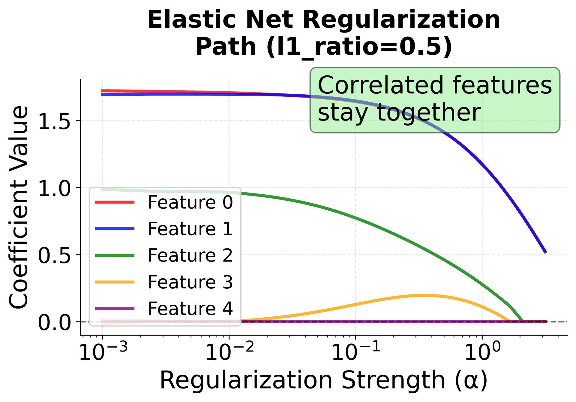 Regularization path plot showing Elastic Net coefficient evolution with correlated features grouped together.