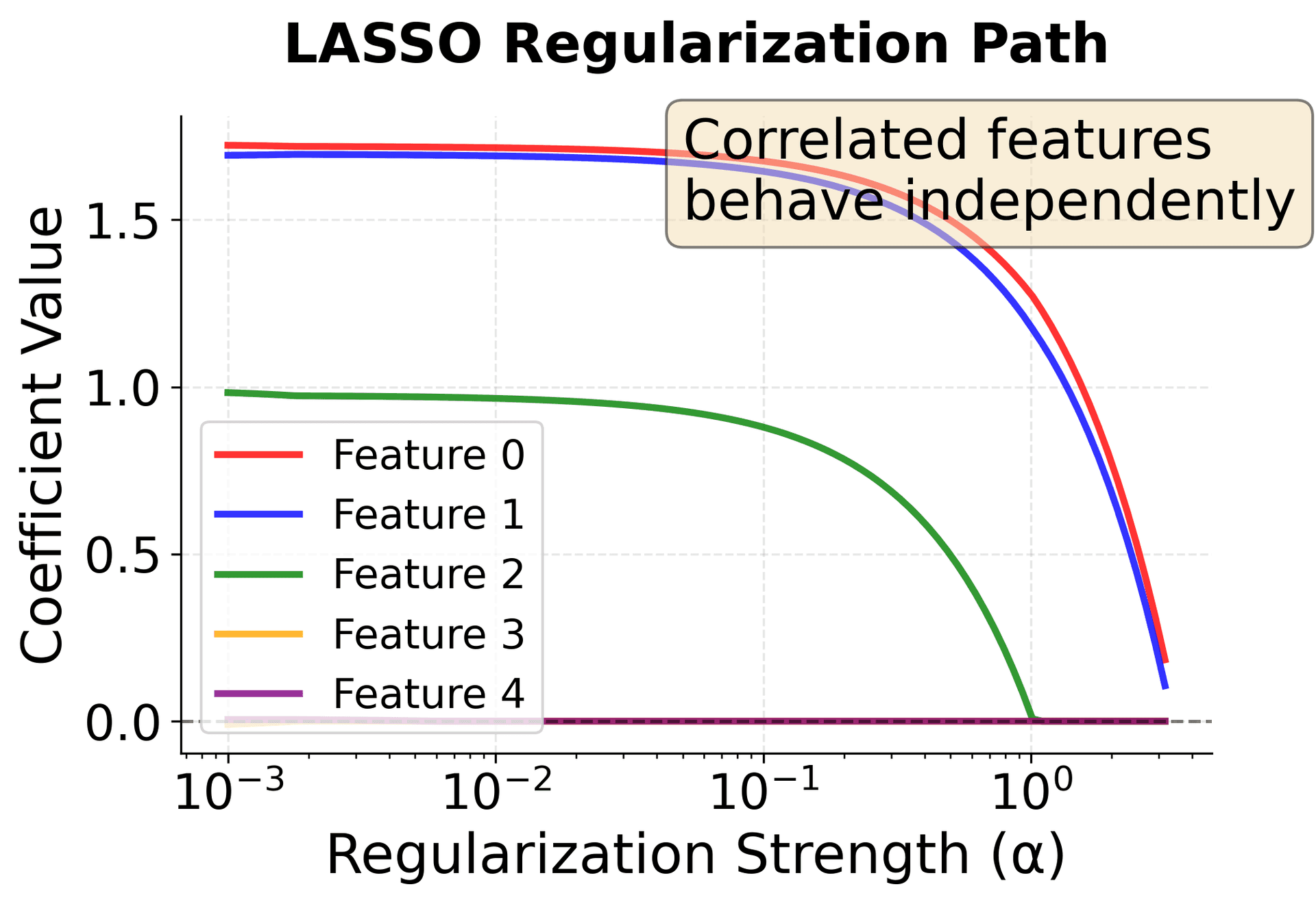 Regularization path plot showing LASSO coefficient evolution with correlated features behaving independently.