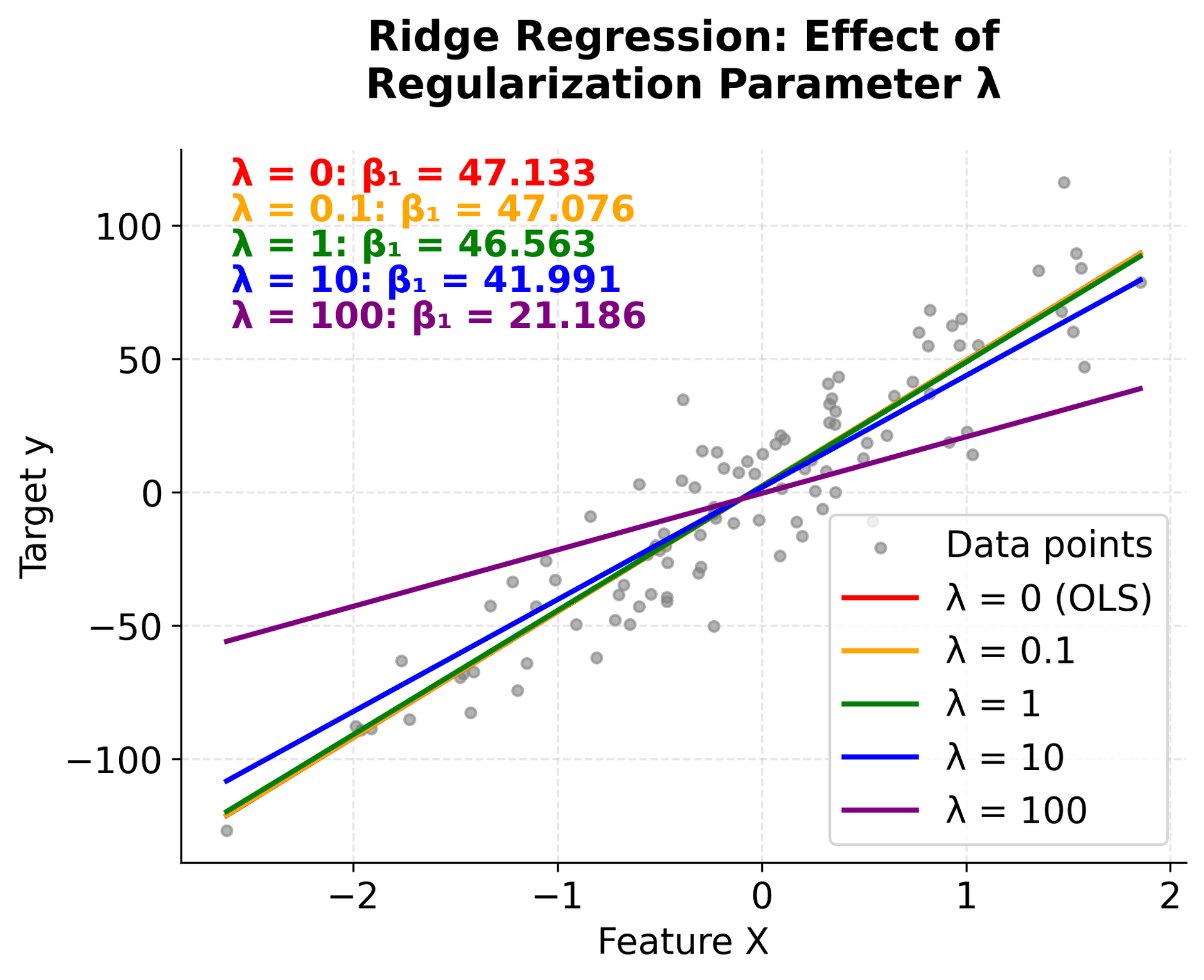 Plot showing how Ridge regression coefficient shrinks with increasing lambda parameter.