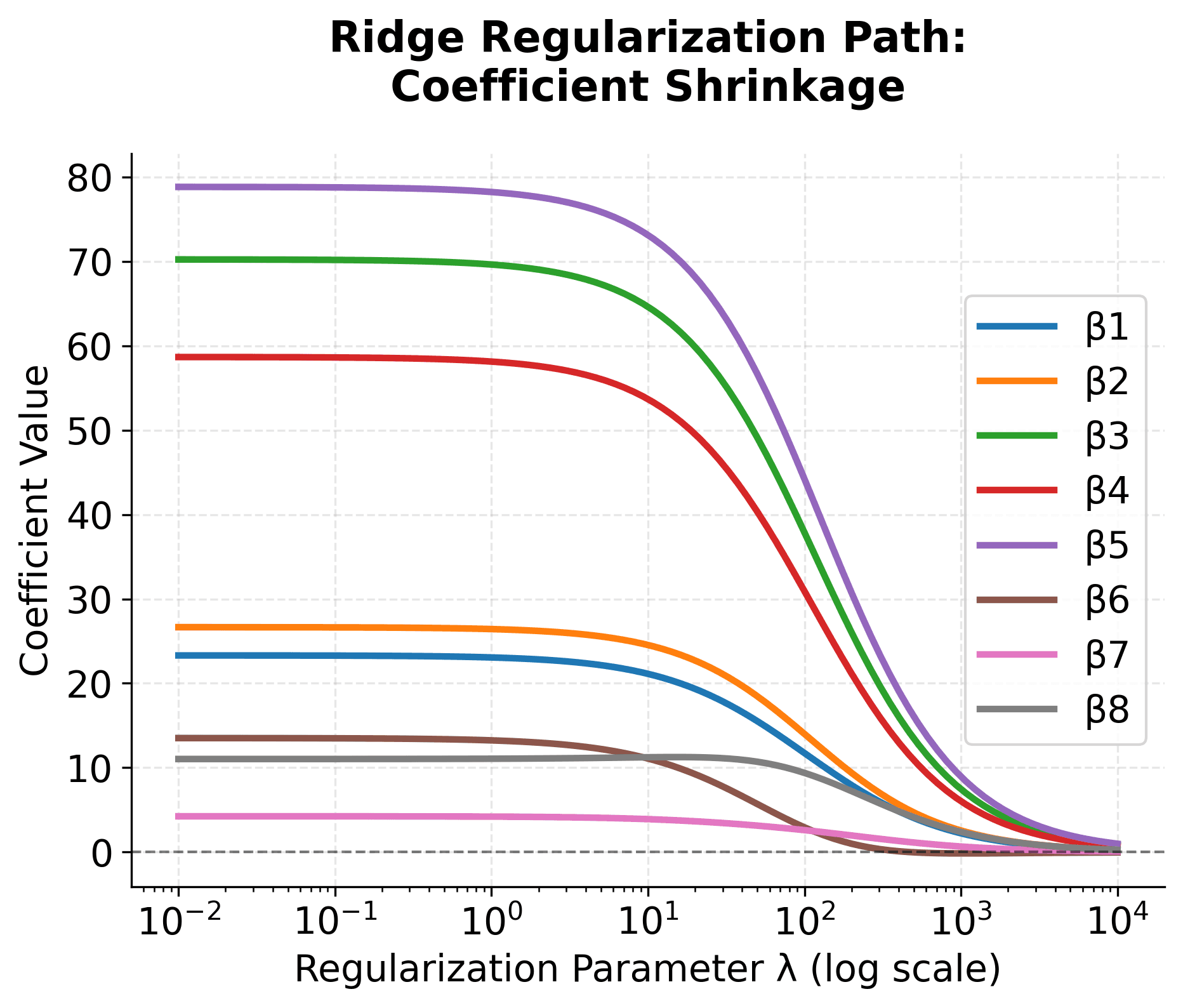 Plot showing how Ridge regression coefficients shrink smoothly with increasing lambda.