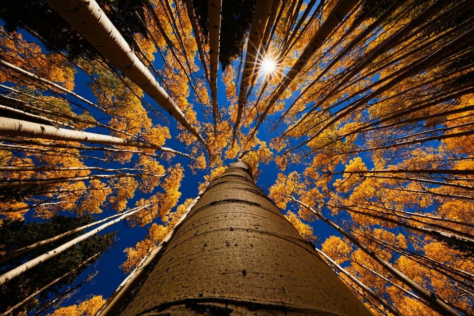 XGBoost: Complete Guide to Extreme Gradient Boosting with Mathematical Foundations, Optimization Techniques & Python Implementation