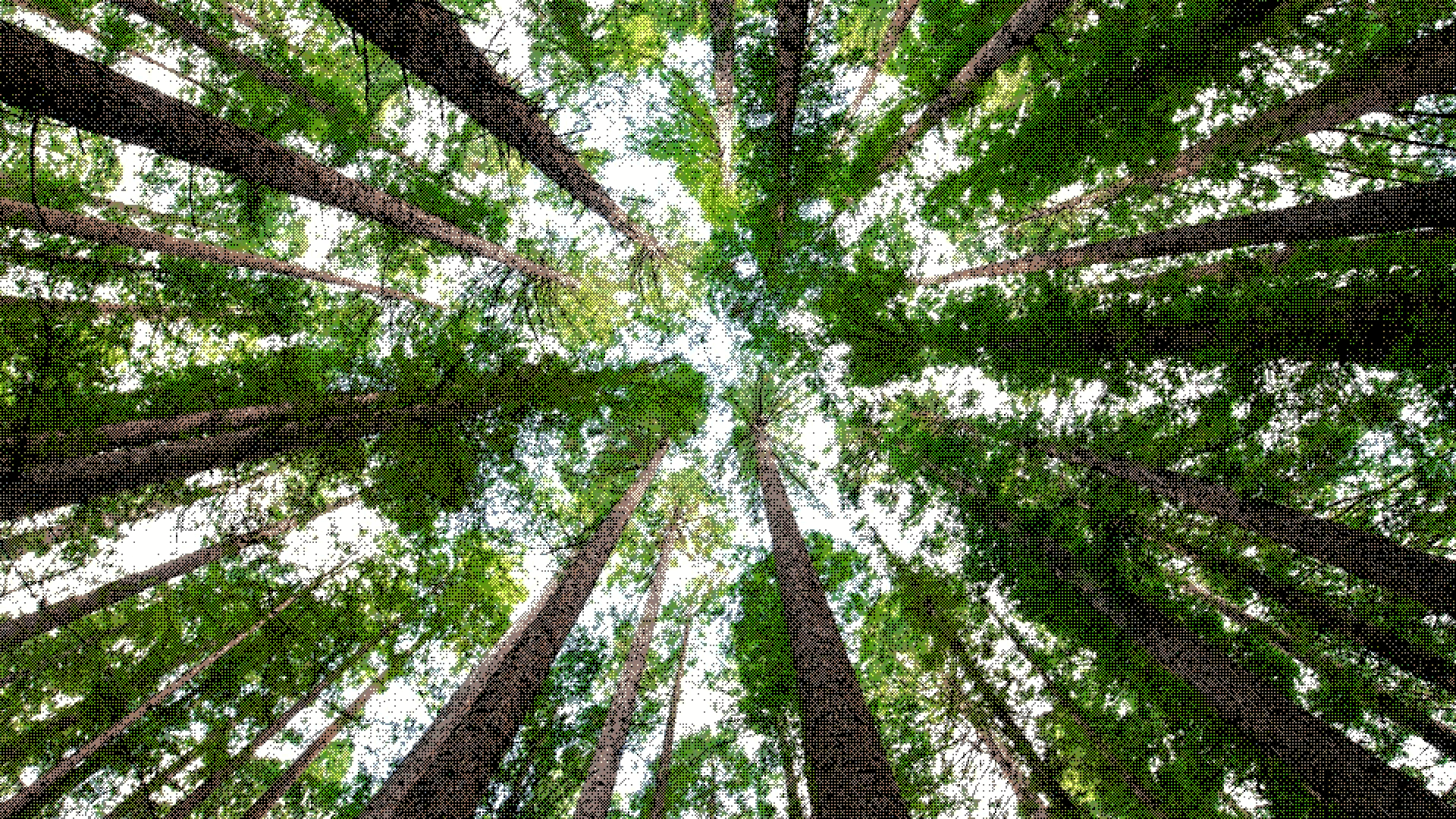 Boosted Trees: Complete Guide to Gradient Boosting Algorithm & Implementation
