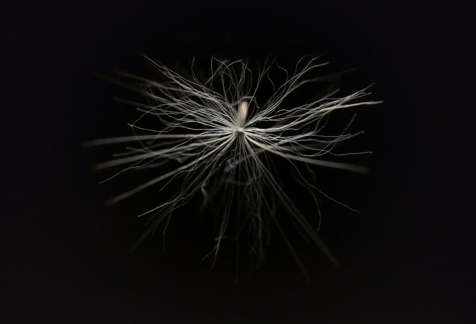 The Perceptron - Foundation of Modern Neural Networks