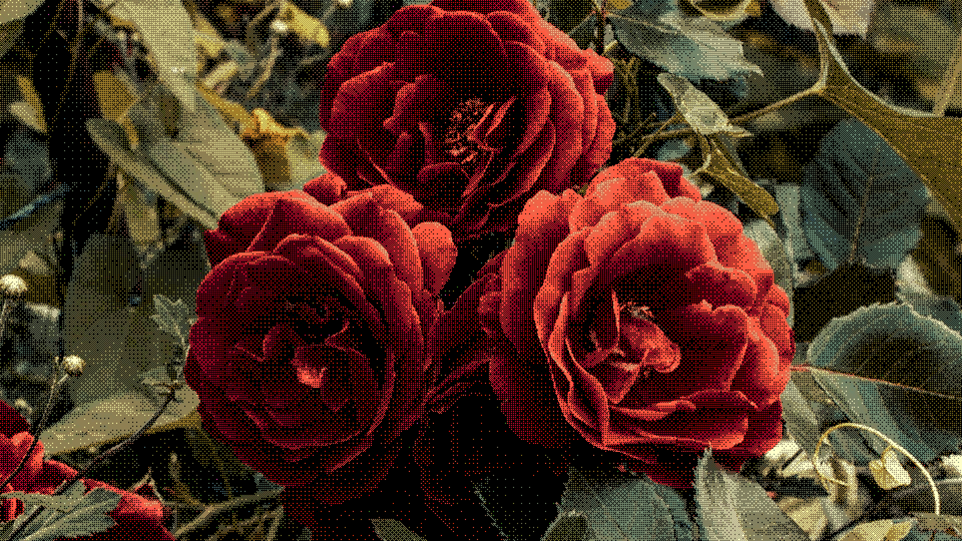 K-means Clustering: Complete Guide with Algorithm, Implementation & Best Practices