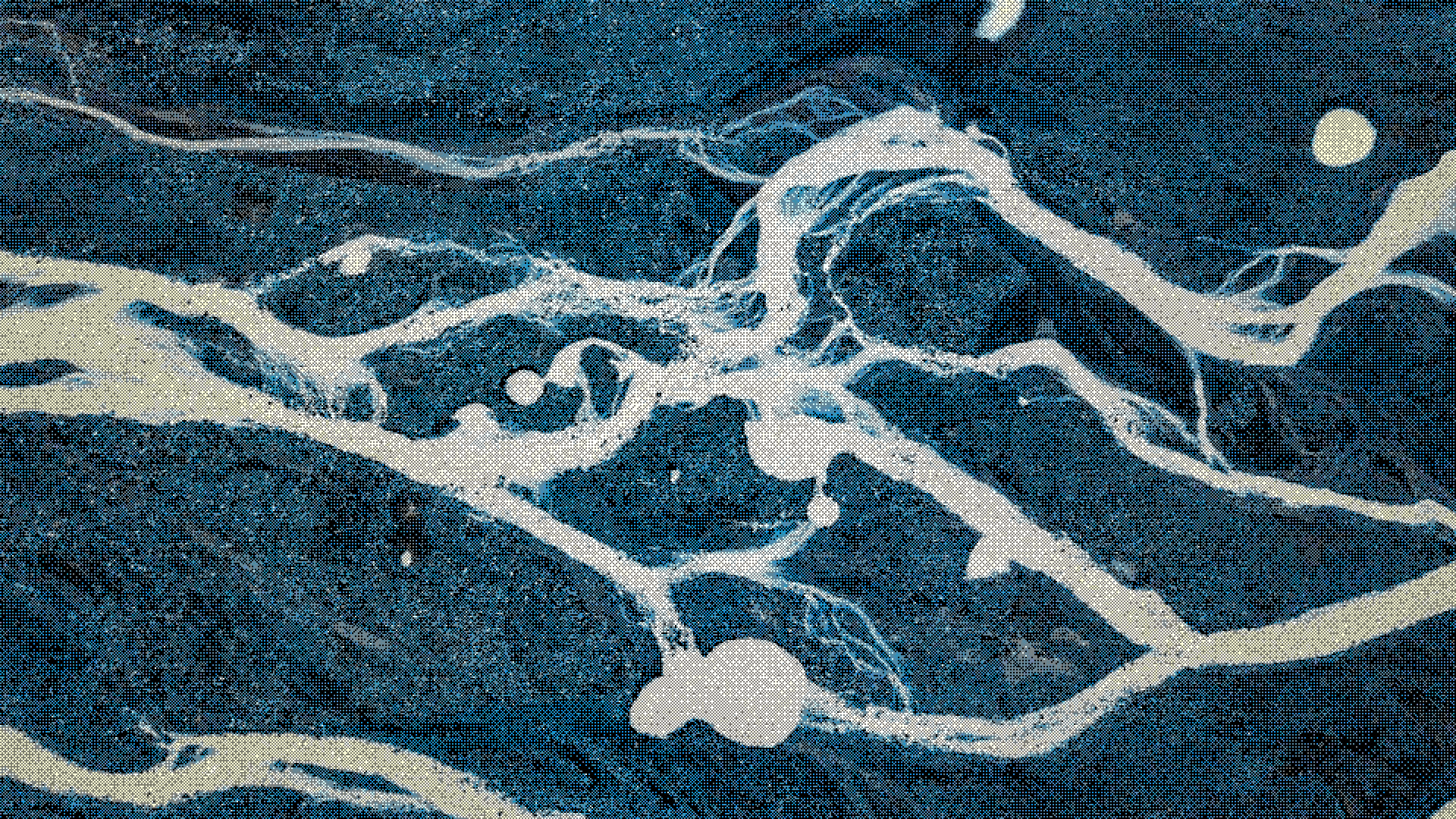 Minimum Cost Flow Slotting: Complete Guide to Network Flow Optimization & Resource Allocation