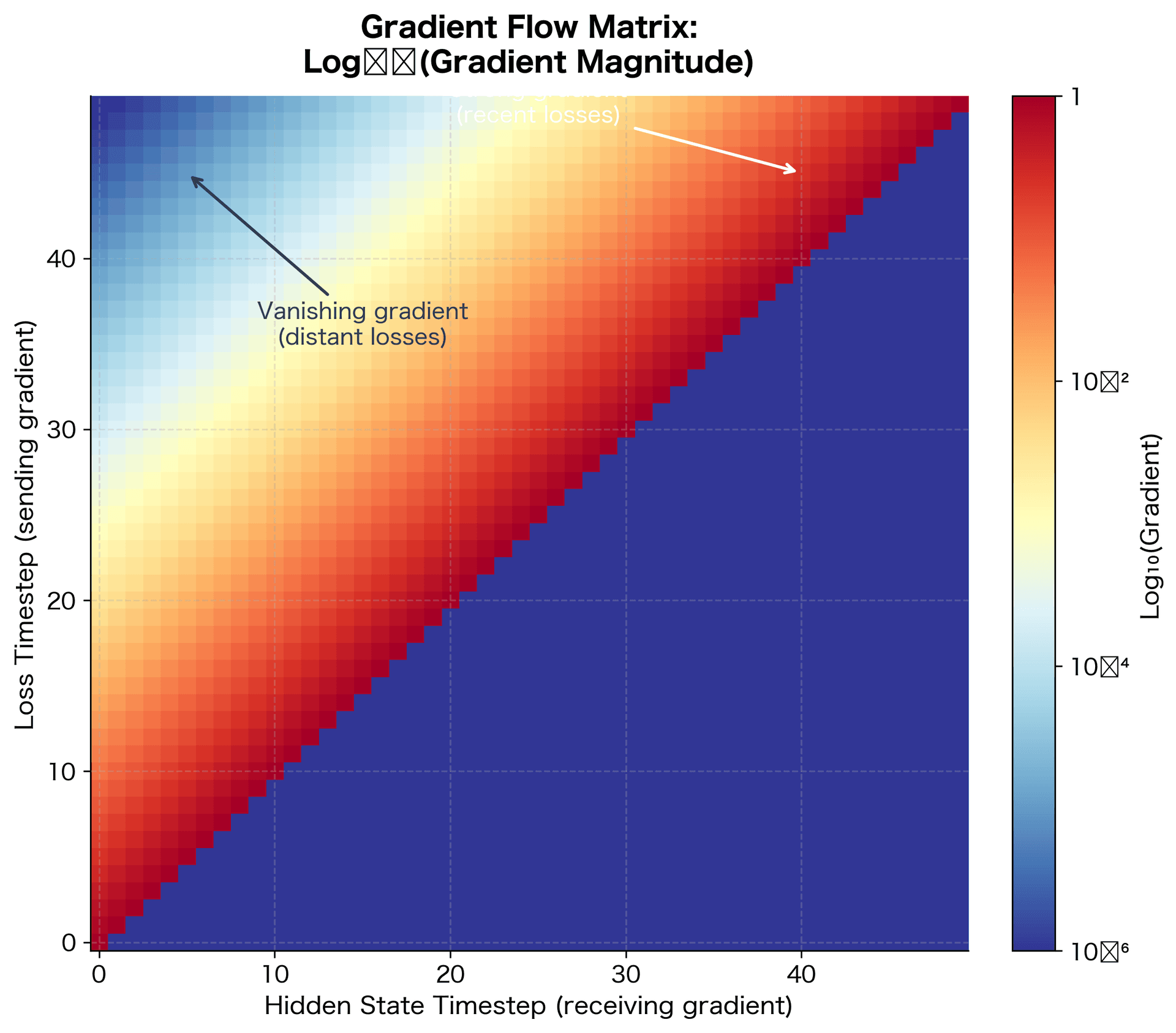 Heatmap showing gradient flow from loss timesteps to hidden states, with strong gradients near the diagonal and vanishing gradients far from it.