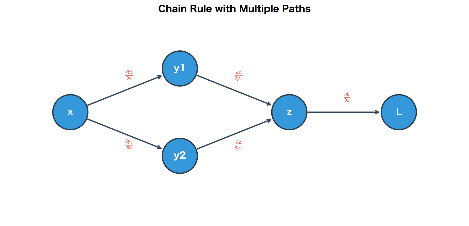 Diagram showing gradient flow through a computational graph with multiple paths, illustrating the chain rule summation.