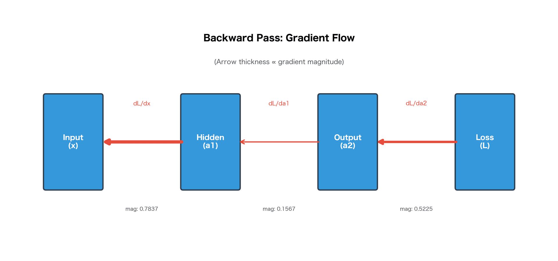 Diagram showing gradient magnitudes flowing backward through network layers with varying arrow thicknesses.