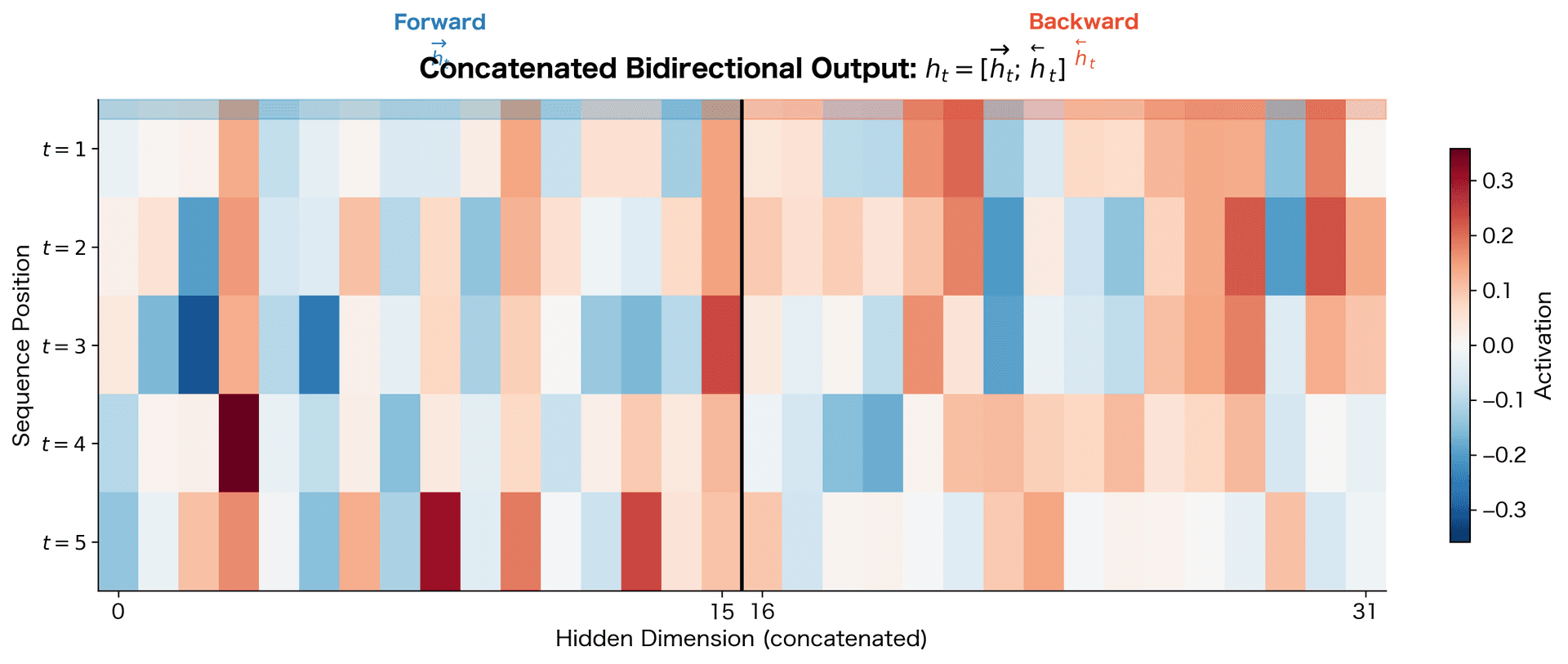 Heatmap showing the concatenated bidirectional output with forward and backward components side by side.