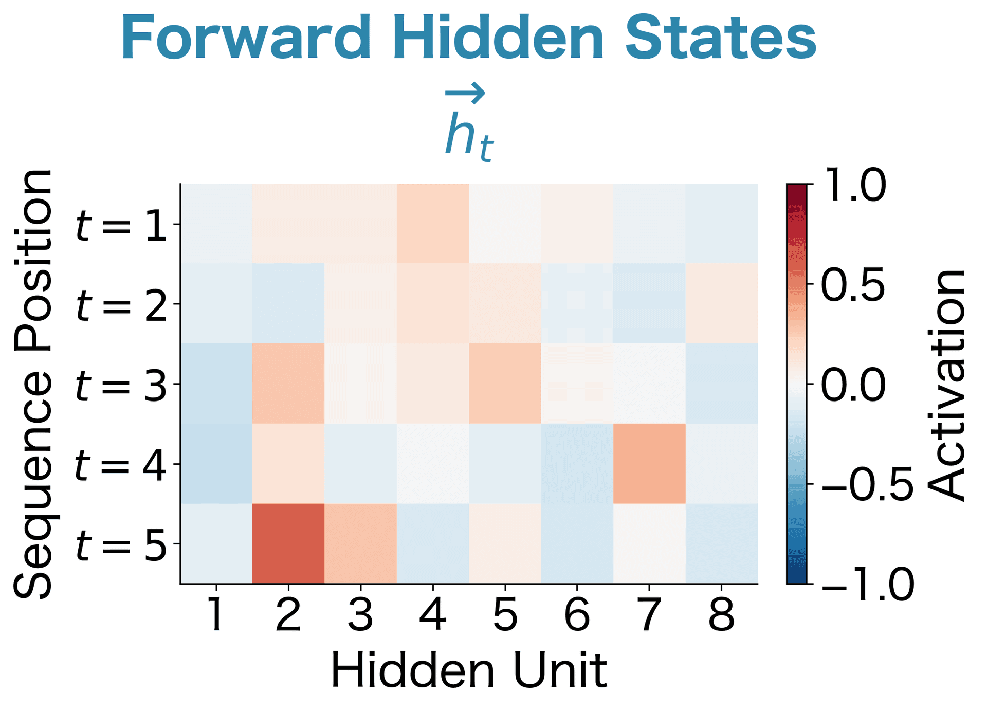 Two heatmaps showing hidden state activations across sequence positions for forward and backward LSTM passes.